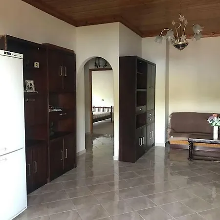 Dimitris House Apartment Vlikhon